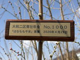 匿名 review photo