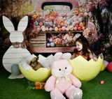 Darlene C. review photo