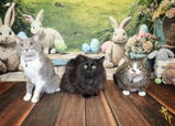 Yvonne P. review photo