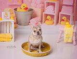 april M. review photo