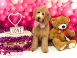 Brandie G. review photo