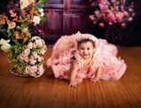 Orlyn J.f. review photo