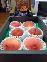 匿名 review photo