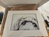 Etsy c. review photo