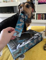 Ffion review photo