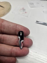 Zo review photo
