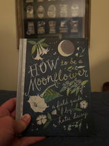 Ben Hollister review photo