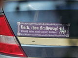 Traveling Baladeer review photo