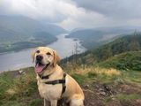 Michela P. review photo