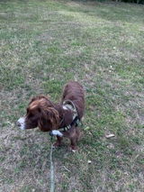 Michele B. review photo