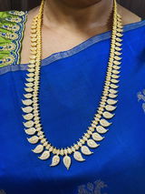 Kalpana shankar review photo