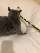 ちえこ review photo