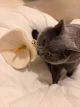 ちえこ review photo