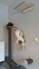 Katzenliebhaberin review photo