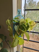 Sayanti Sikder review photo