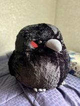 Seija S. review photo