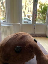 Nellie �. review photo