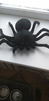 Shopper review photo