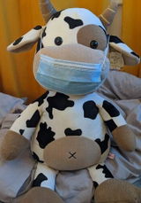 Kieran M. review photo