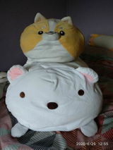 Kristell S. review photo