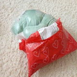 Shopper review photo