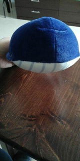 R***a review photo