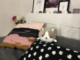 Y***a review photo