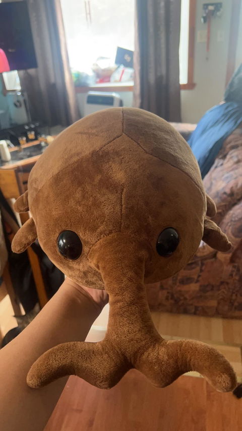 Brown Kawaii Dung Beetles Plushies