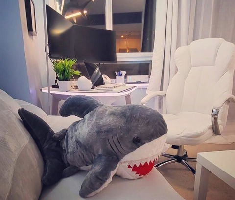 Huge Fluffy Shark Plushie