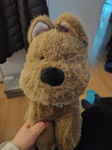 Bea review photo