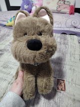 Bea review photo