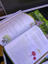 Suzannah J. review photo