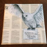 Etsy Review review photo