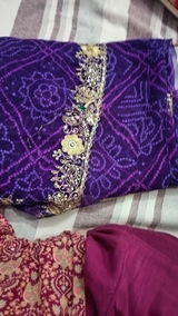 Sapna Choudhary review photo