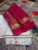 Sapna Choudhary review photo
