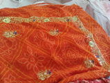 Sapna Thakur review photo