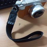 Gregorius review photo