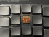 Xavier review photo