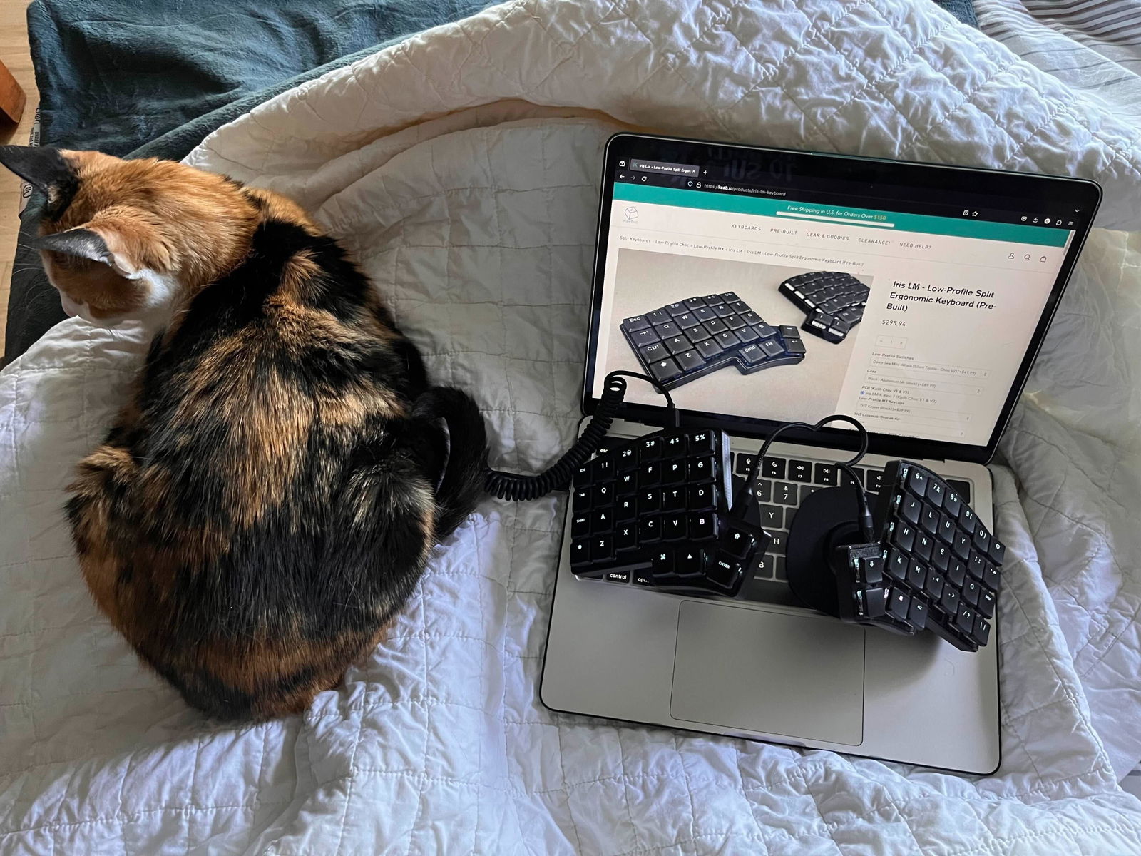 Iris LM Keyboard | Keeb.io – Keebio