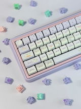 Quinee review photo