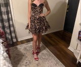 Addison review photo