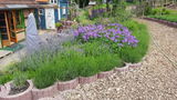 Reinhard S. review photo