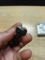 진성 review photo