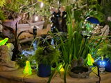 Leanne Smith review photo