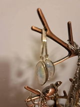 Damaris review photo