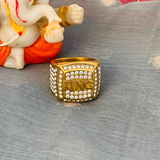 Rohan Saxena review photo