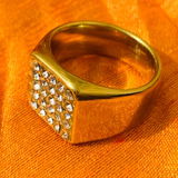 Vivek Chauhan review photo