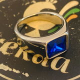 Vikas Arora review photo