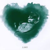 Heart Watercolor Ultrasound Art
