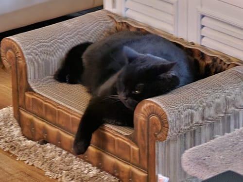 LöwenLounge